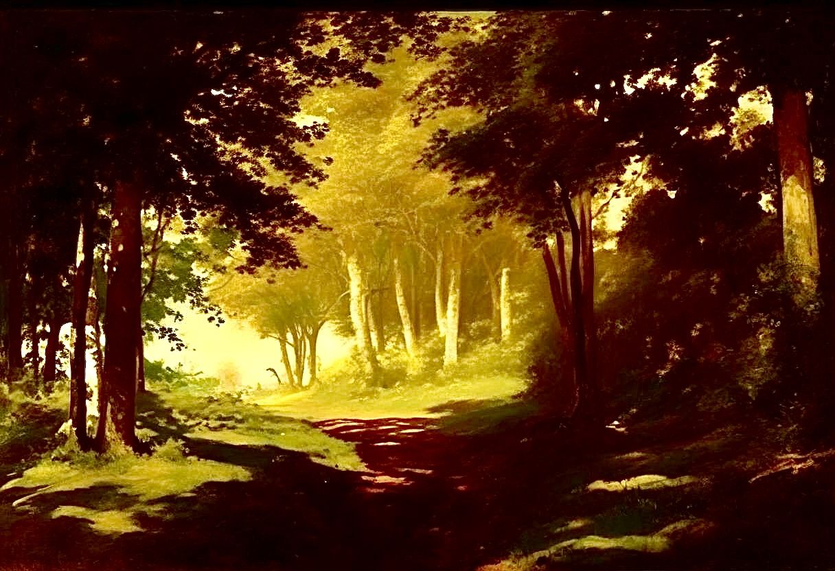 Coming upon a meadow