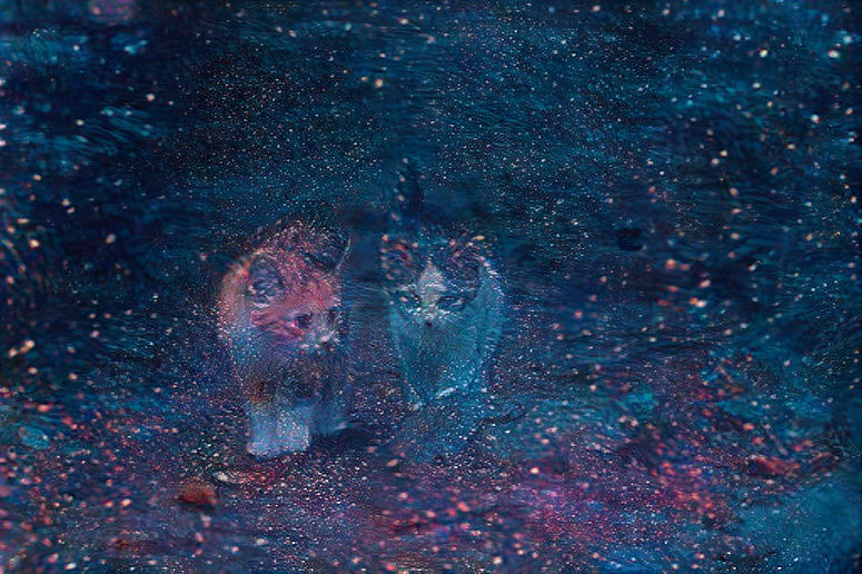 Walking the Parallel world