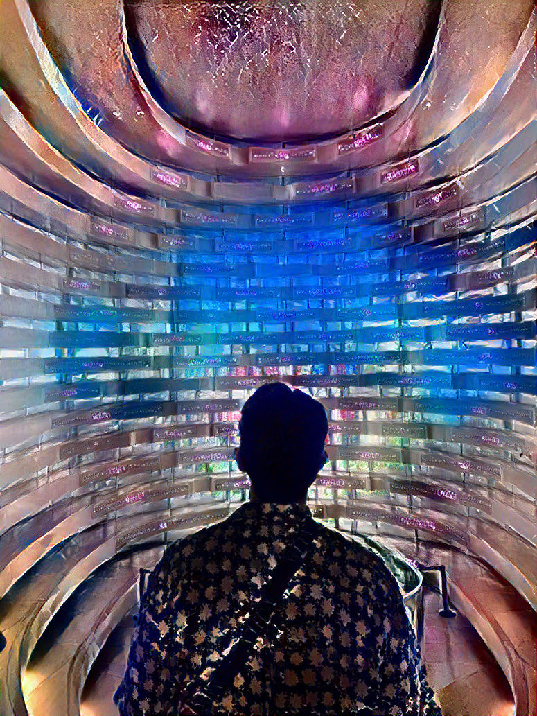 peacock vision
