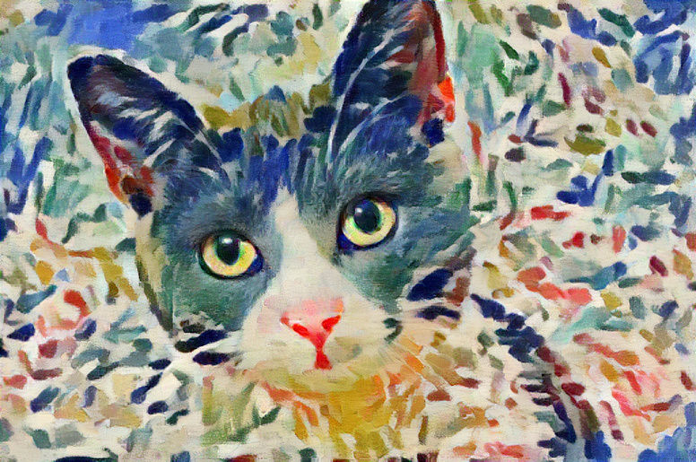 Cat painting