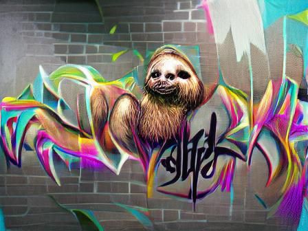 Graffiti style sloth