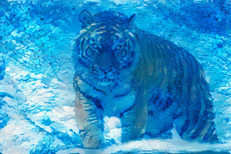 tiger