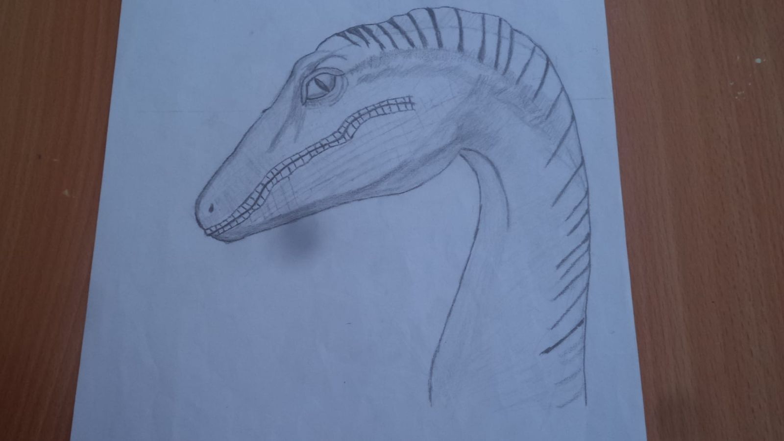 This picture is before and after using (ai)