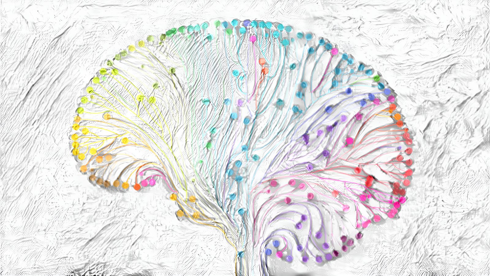 A brain neural network as an impasto oil painting using Style Transfer