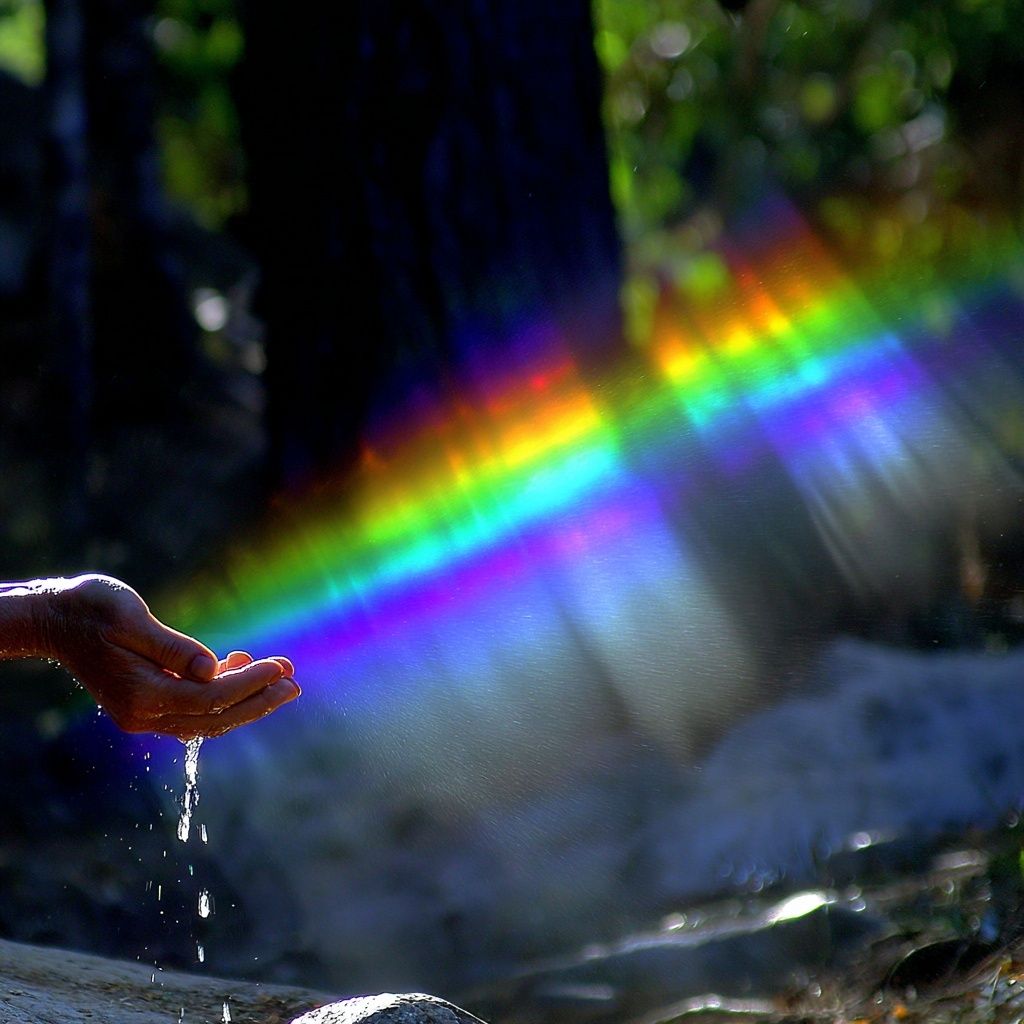 To Catch a Rainbow