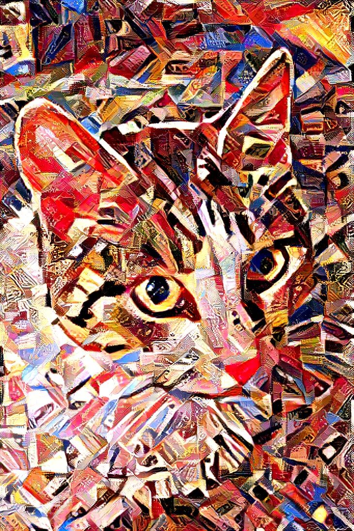 Crazy quilt cat