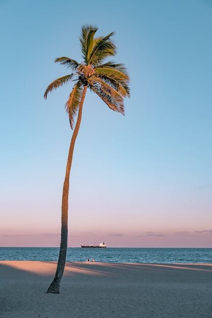 Photo by Tyler Lastovich on Pexels