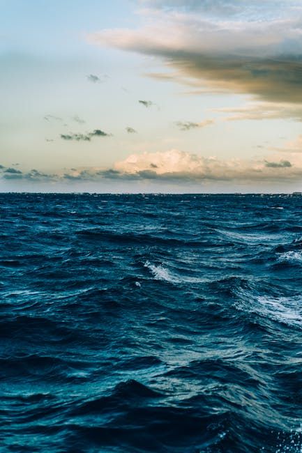 Photo by Ricardo Esquivel on Pexels