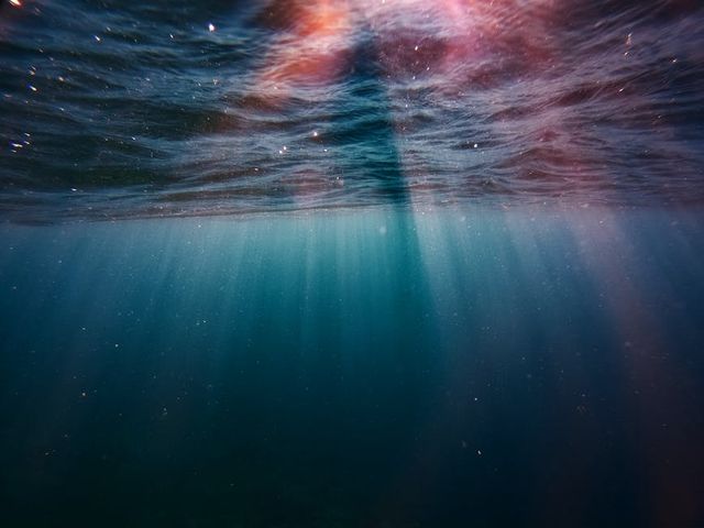 Photo by John Cahil Rom on Pexels