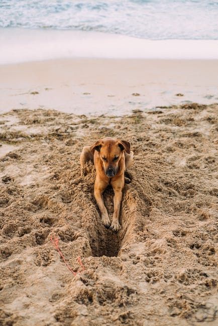 Photo by Laura Stanley on Pexels