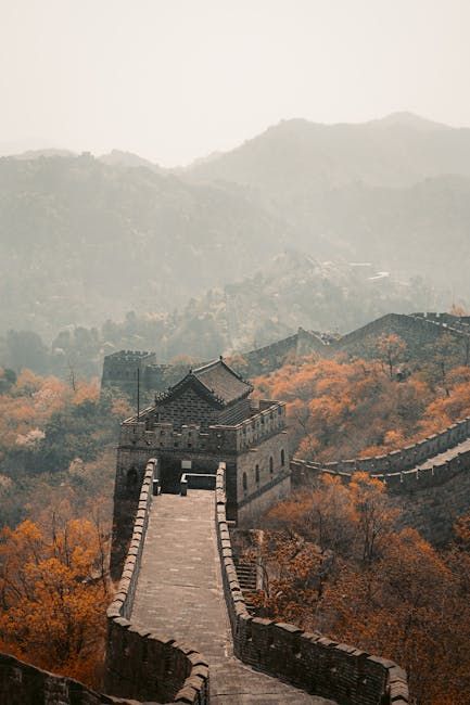 Photo by Paulo Marcelo Martins on Pexels