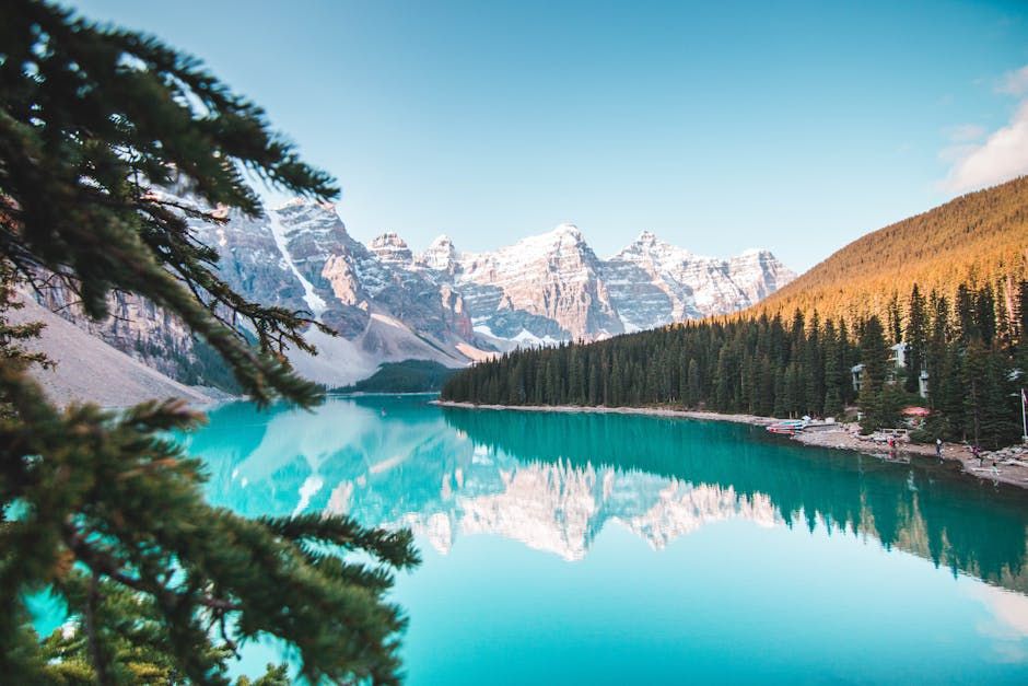 Photo by Jaime Reimer on Pexels