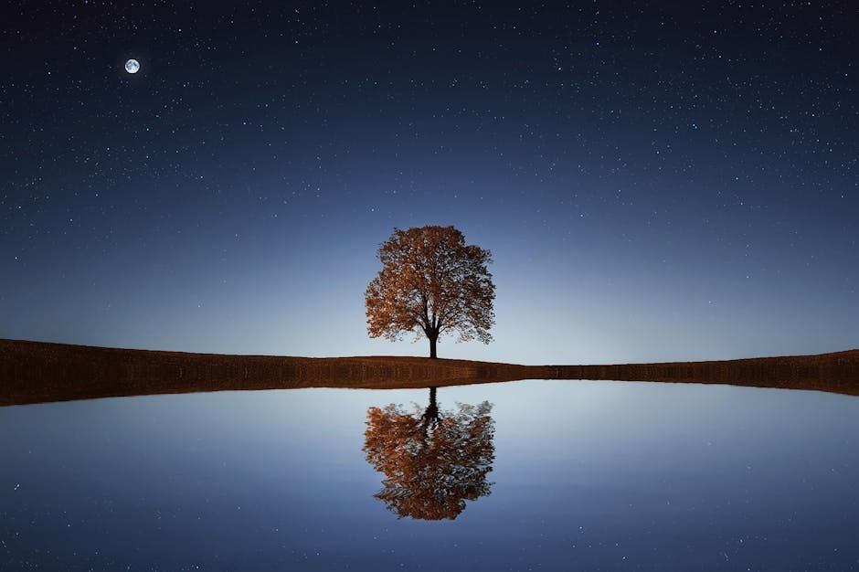 Photo by Pixabay on Pexels