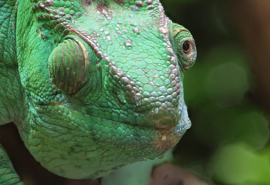 Reptilian hatchling on moon of 42 Draconis b