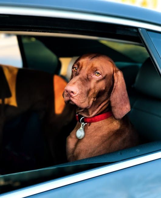 Photo by Charles Roth on Pexels
