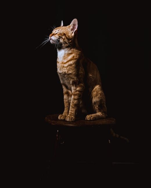 Photo by Anderson  Martins on Pexels