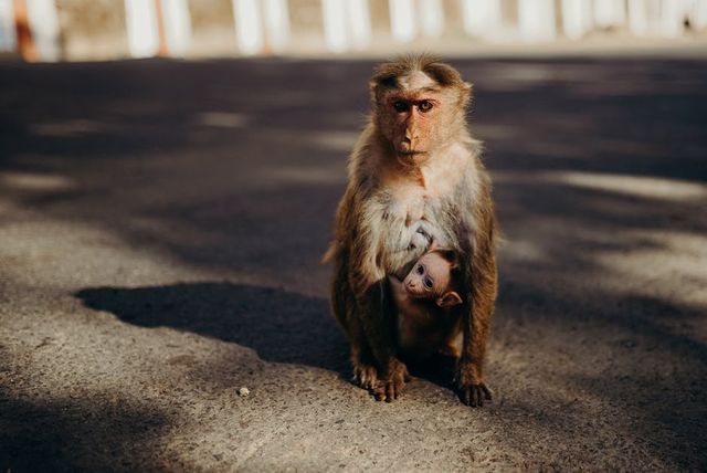 Image uploaded by user