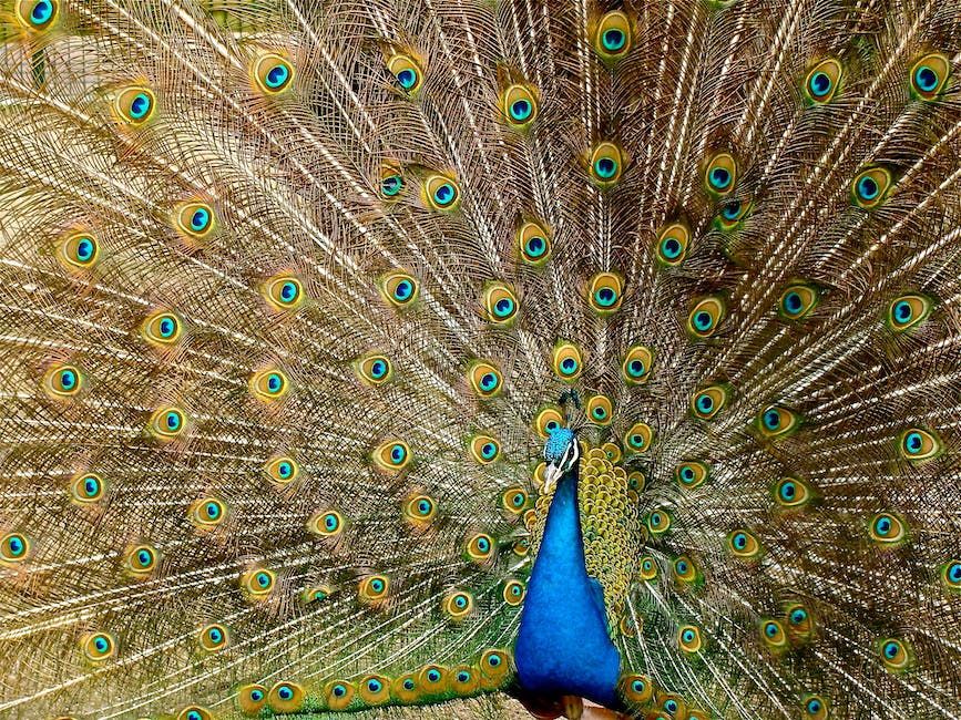 mixed pickles spring onion mango chutney intricately detailed Kandinsky color gradient tetradic colors lyrical abstraction collage oil on ca...