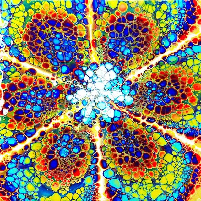 Image uploaded by user