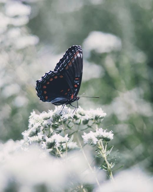Photo by Aaron Burden on Pexels