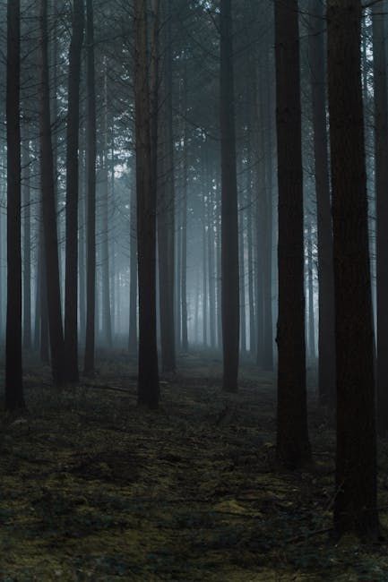 Lost Child