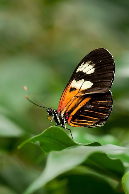 Photo by Pixabay on Pexels