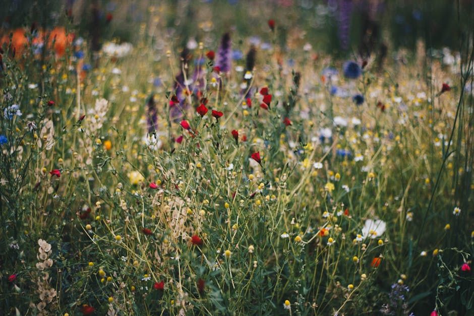 Passion flowing away with the wind bokeh Studio Ghibli