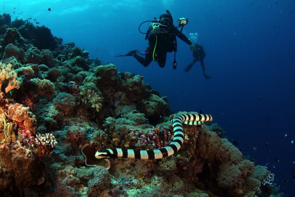 Sea snake