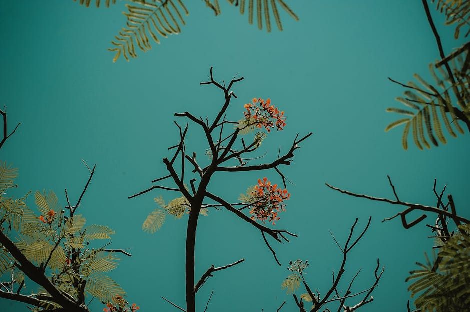 Beautiful Alien princess standing in a nighttime scene with stars and nebulas. Inspired by Tim Burton and Hayao Miyazaki. dreamlike, fantast...