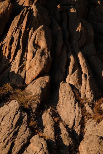 Photo by Marina Leonova on Pexels
