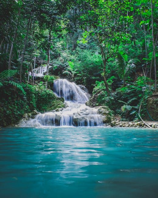Photo by Rifqi Ramadhan on Pexels