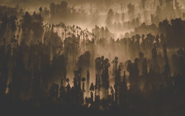 Photo by Daniel Ap on Pexels