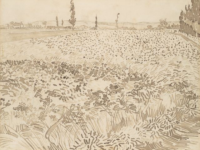 Wheat Field