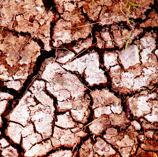 Cracked Dirt
