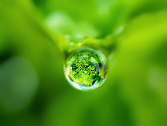 Extreme close-up of a dewdrop on a vibrant green leaf, reflecting a miniature landscape, bokeh background, macro photography style.