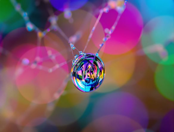 Extreme close-up art of a dewdrop on a spiderweb, intricate details, macro photography style, vibrant colors, sharp focus, bokeh background.