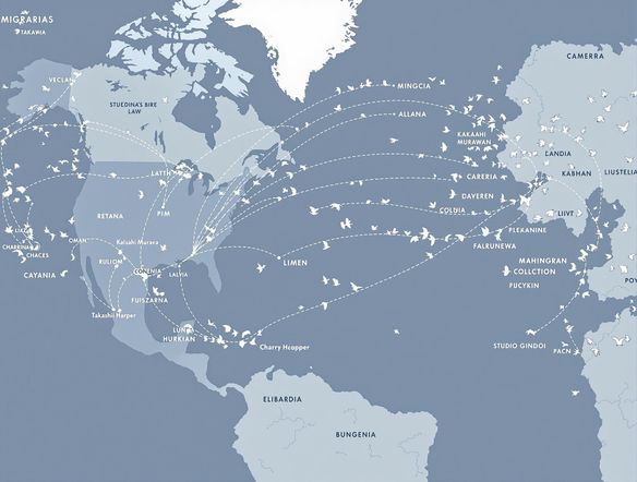 A free map generator animation showing the migration patterns of birds across continents. Style: Minimalist, line art, subtle color changes to indicate seasons. Focus on flight paths and key stopover locations. Resolution: HD.