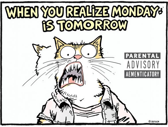 A meme featuring a surprised cat with a Parental Advisory label overlaid. The text reads 'When you realize Monday is tomorrow'. High contrast, humorous, attention-grabbing.