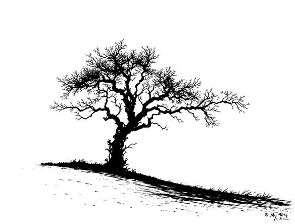 A stark, minimalist monochrome ink drawing of a lone tree on a hill, showcasing fine black and white line art.