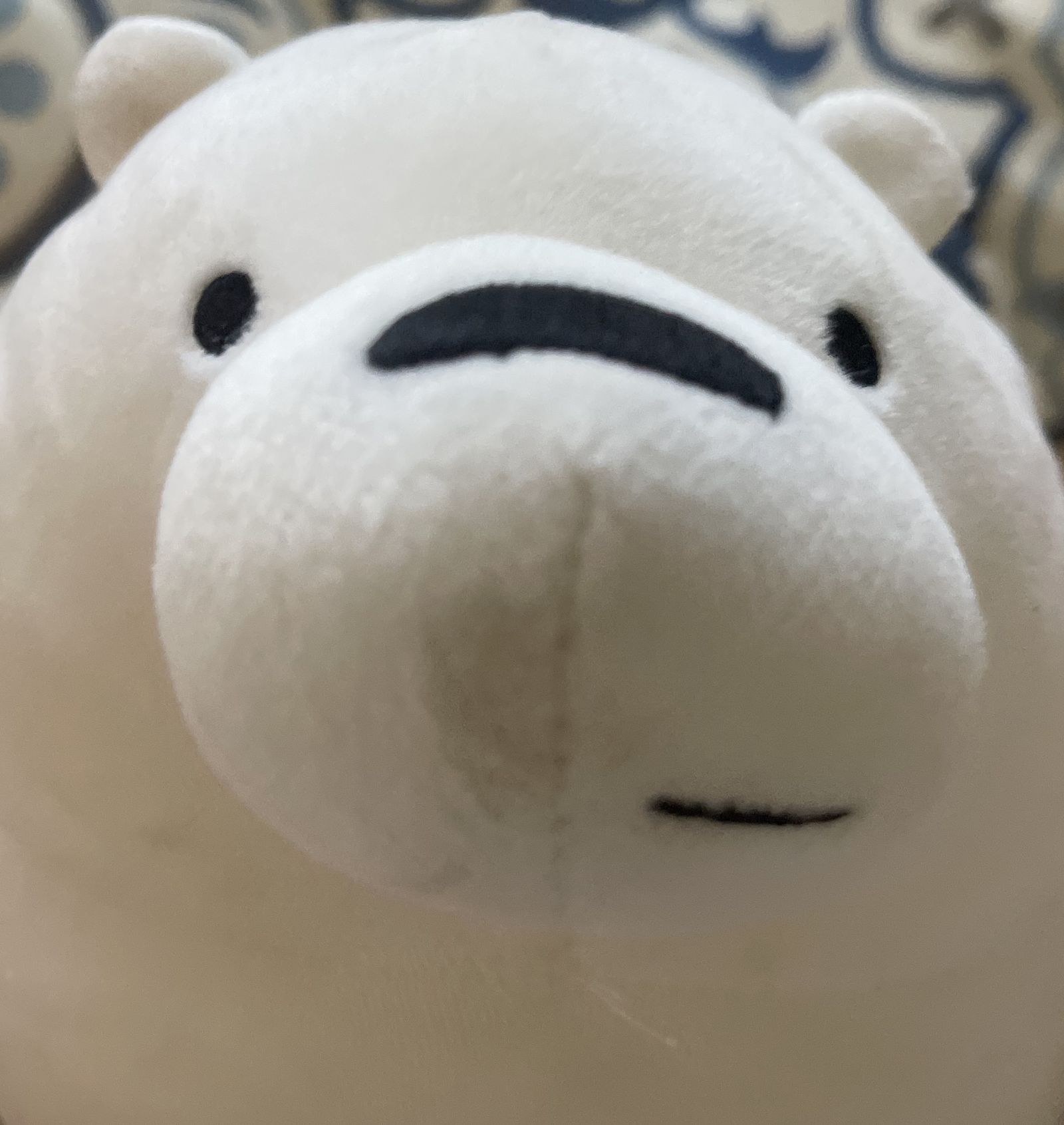 Capybaras are GOATED