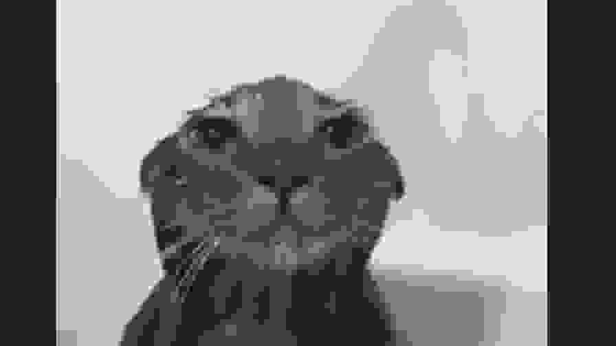 Bznsjwkqmqkwjwjkqkwkkw