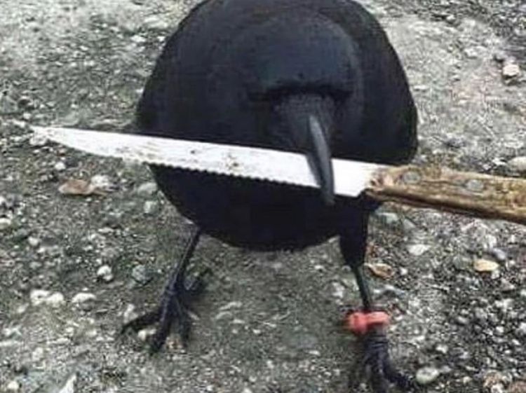 0_o