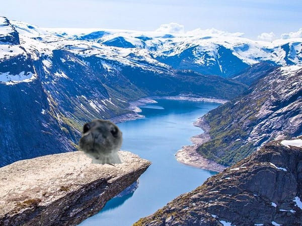 Andreas Bergene Pettersen