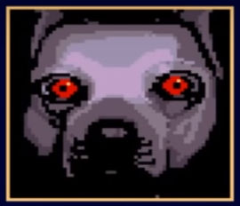 Not Dog