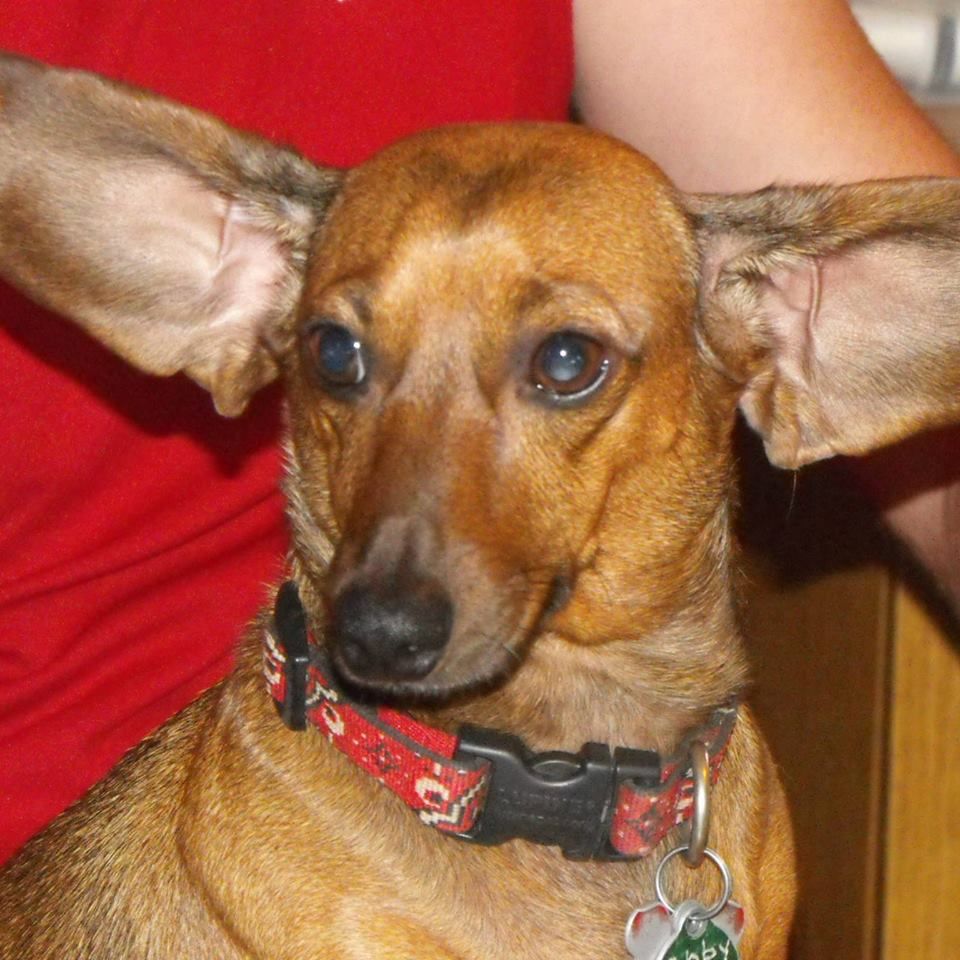 charcoal sketch from image