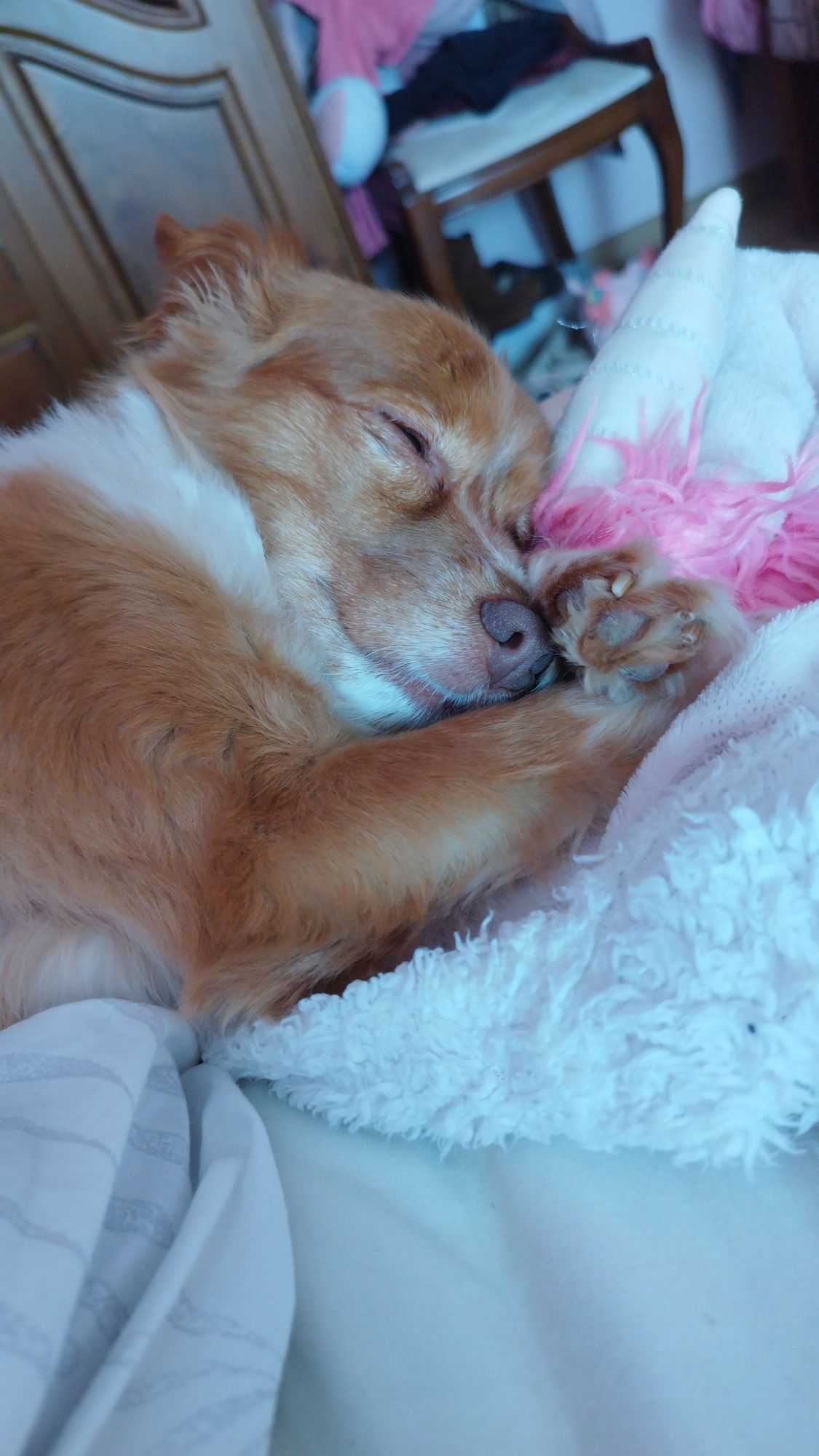 A dog sleep. hyperdetailed charcoal drawing 