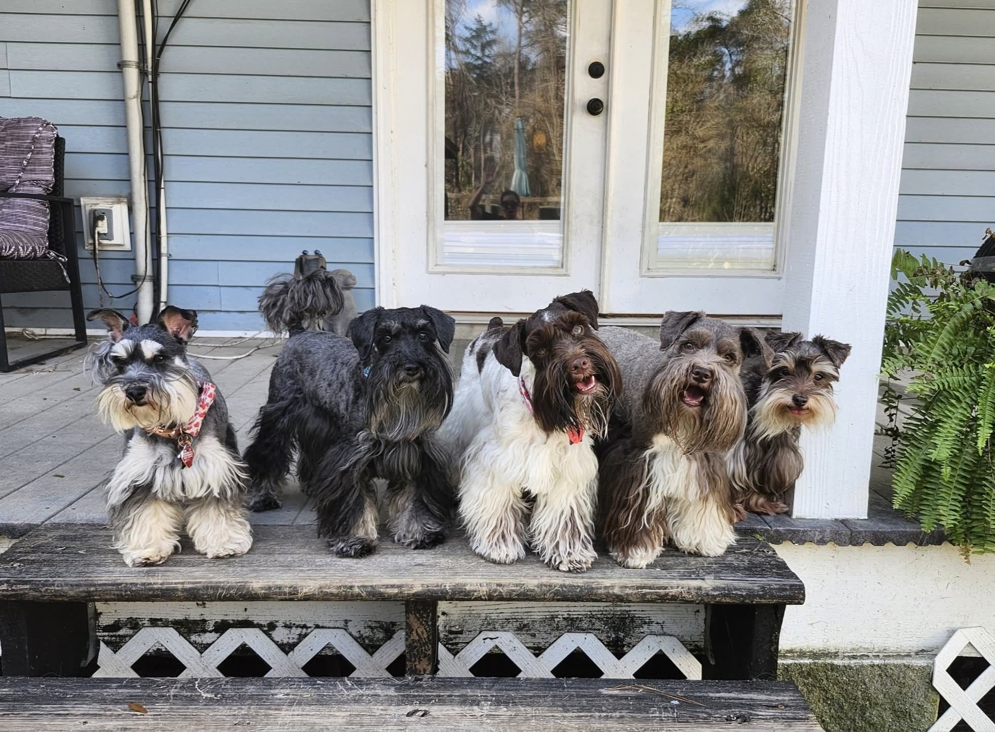 Oil painting style image using the photograph. intricate details, HDR, beautifully shot, hyperrealistic, sharp focus, 64 megapixels, perfect...