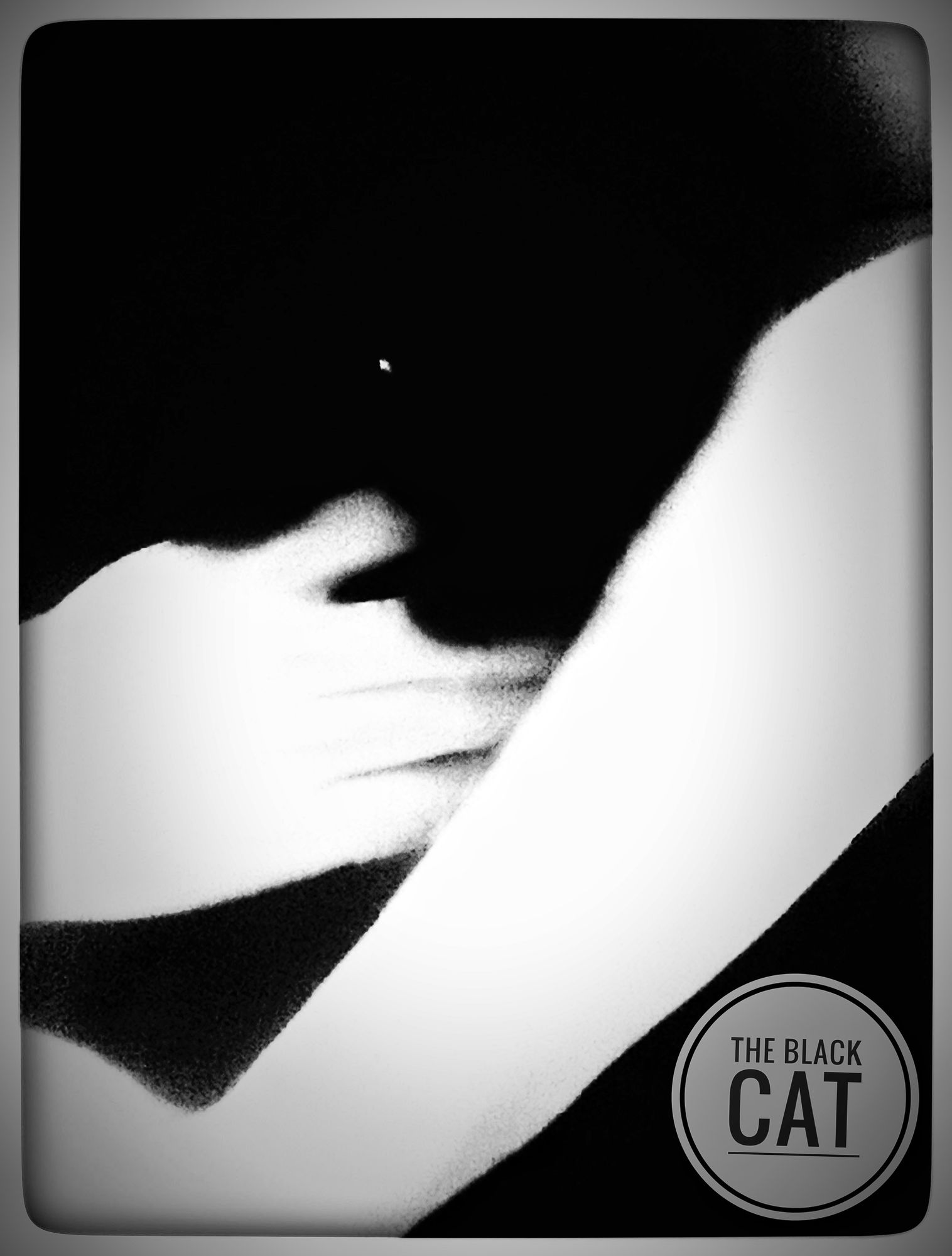 Whimsical fantasy concept art. Close up. baby in a long, elegant gown with lace details hugging the black cat.  Low key. Deep, rich darks wi...