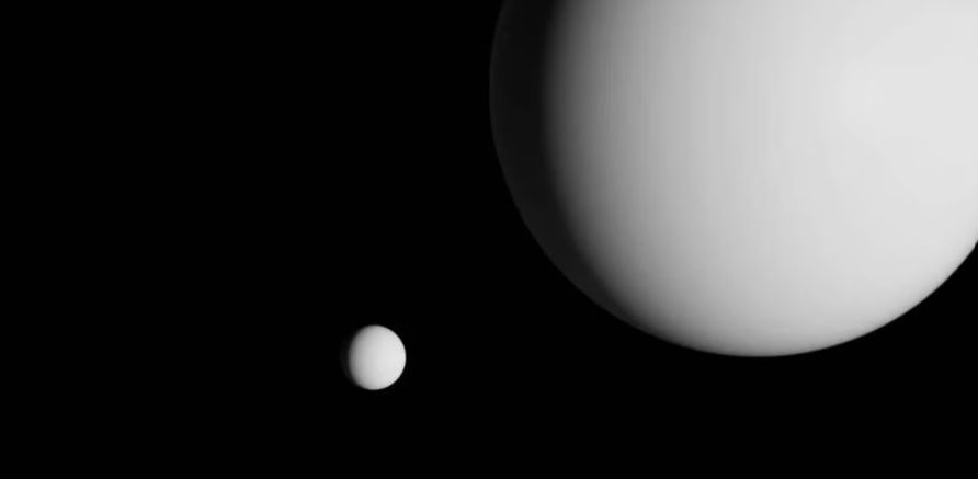 trapped the fantasy of the forest