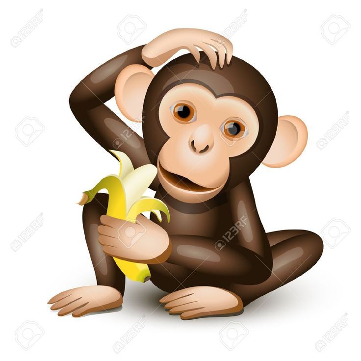 girl amd her pet monkey
